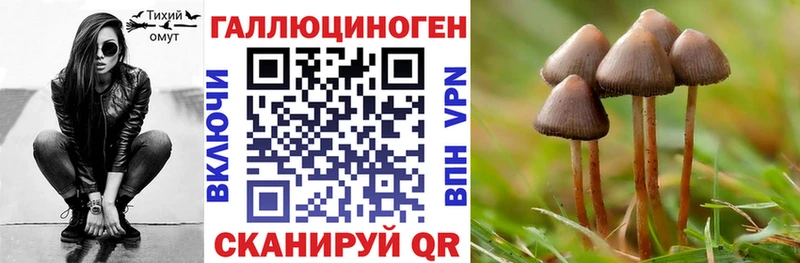 kraken ссылки  Чулым  Галлюциногенные грибы Psilocybe 